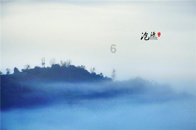 白茶树叶干枯是什么病？游戏画面