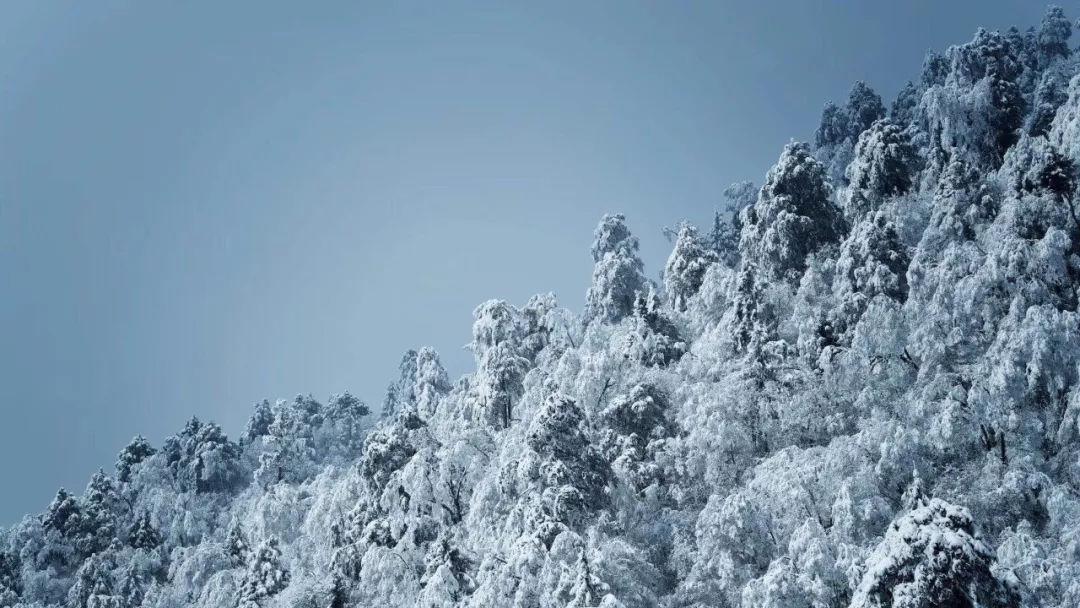 崂山好声音｜好歌喉唱响金家岭！