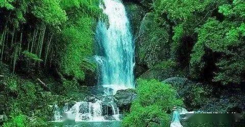 永远不要去疗愈你的伴侣!记住一句话:谁痛苦谁改变